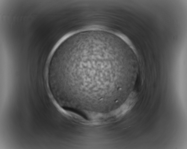 X0000085301438200703301950