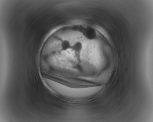 X0000085301439200703301950