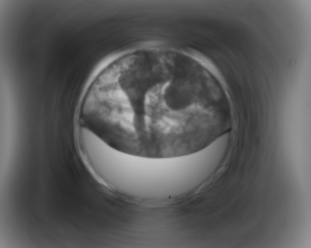 X0000085301440200703301950