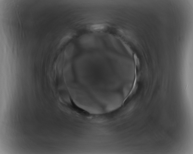 X0000085301441200703301949