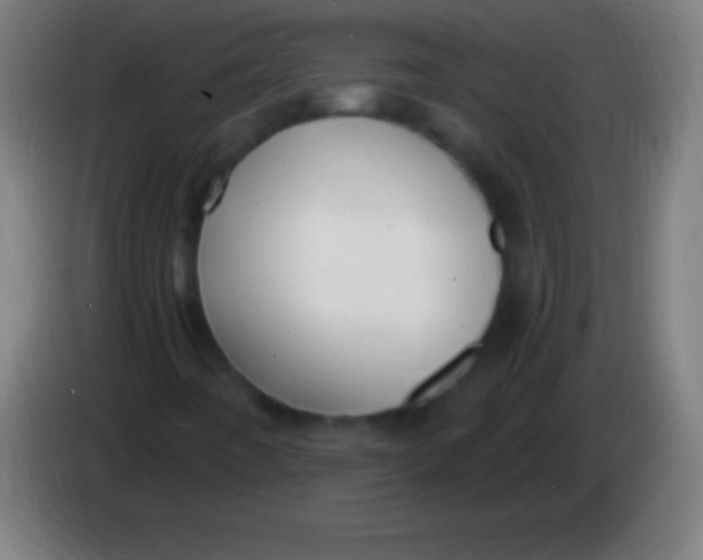 X0000085301442200703301949