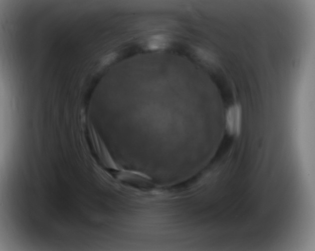 X0000085301443200703301949