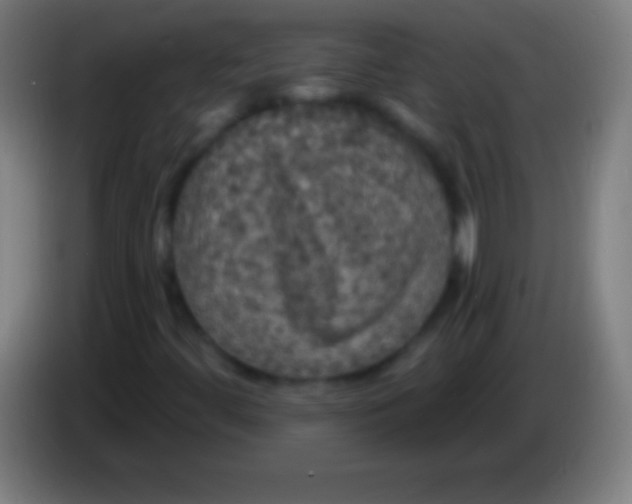 X0000085301444200703301949