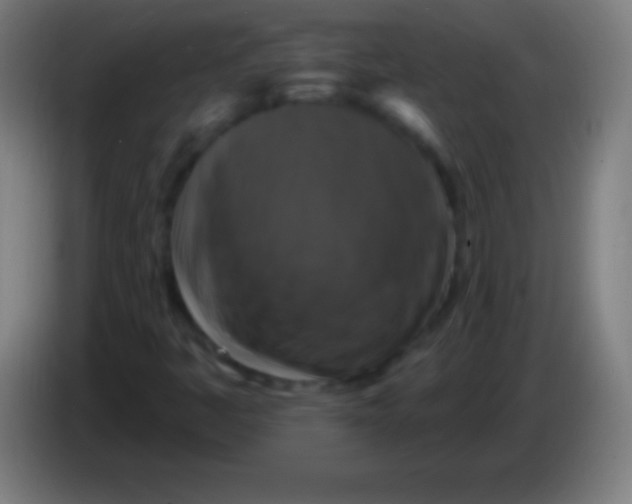 X0000085301445200703301949