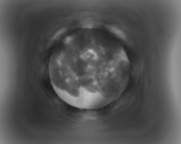 X0000085301446200703301949