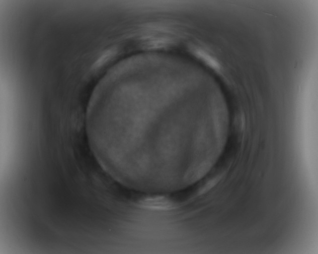 X0000085301447200703301949