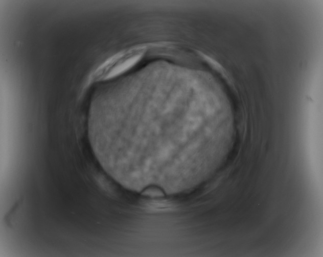 X0000085301448200703301949