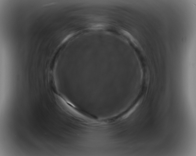 X0000085301449200703301949