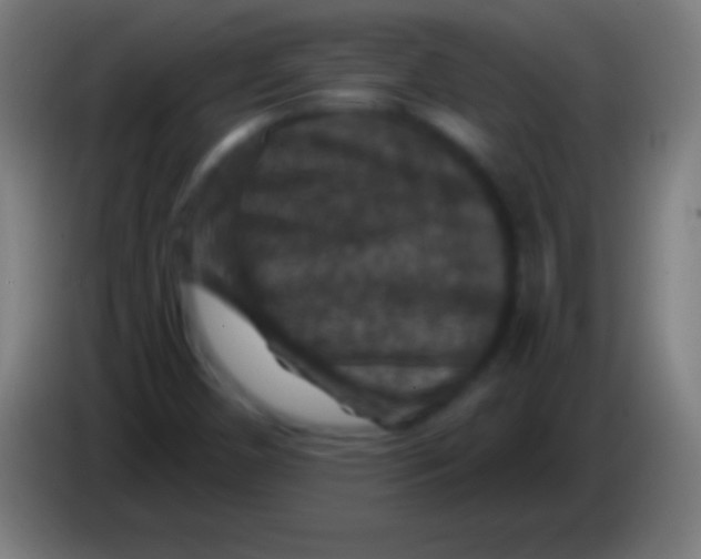 X0000085301450200703301949