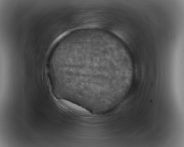 X0000085301452200703301949