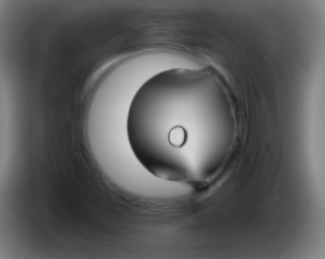 X0000085301453200703301949