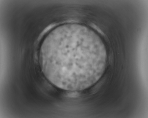 X0000085301454200703301949