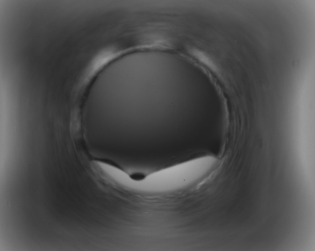 X0000085301455200703301949