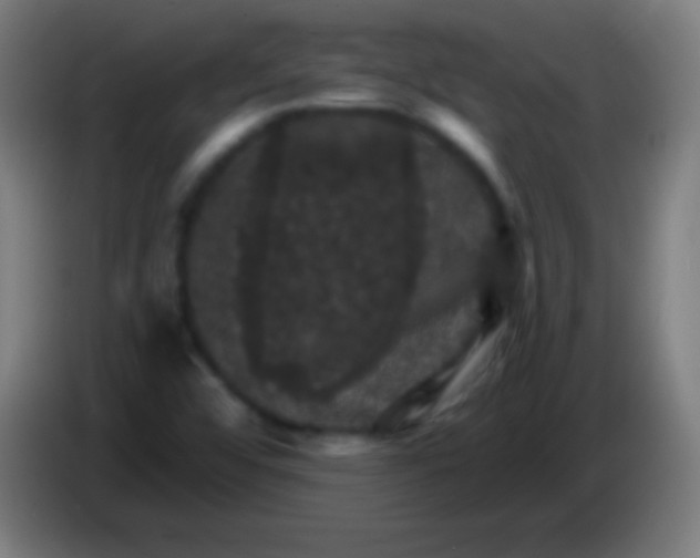 X0000085301456200703301949