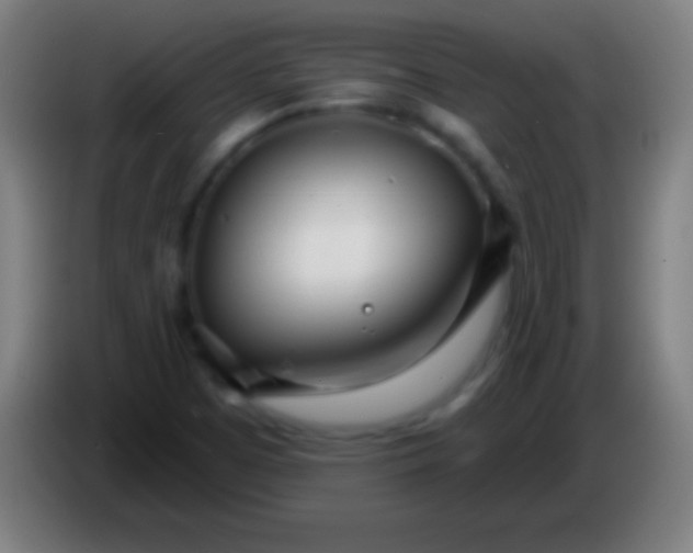 X0000085301457200703301949