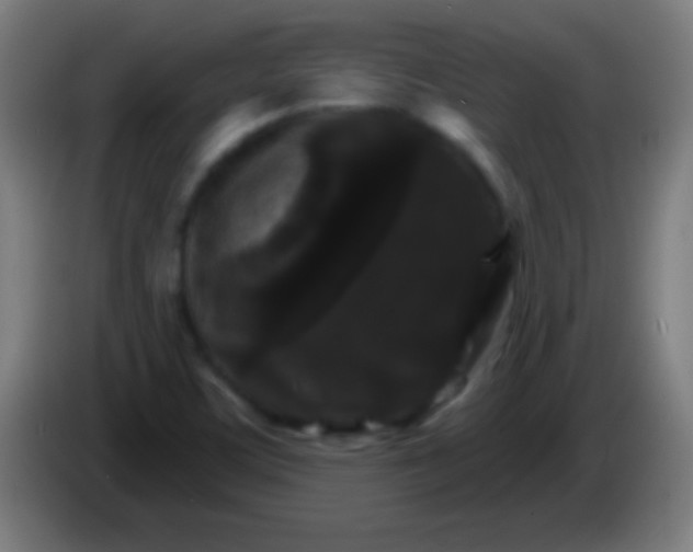 X0000085301459200703301949