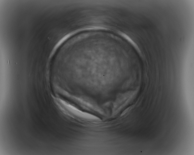 X0000085301460200703301949