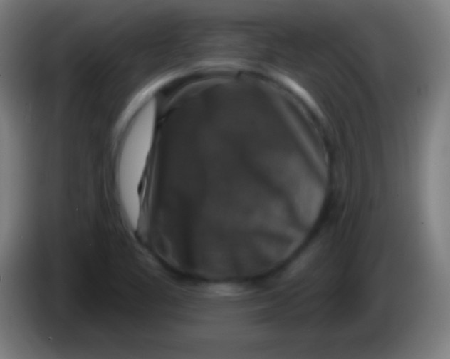 X0000085301461200703301949