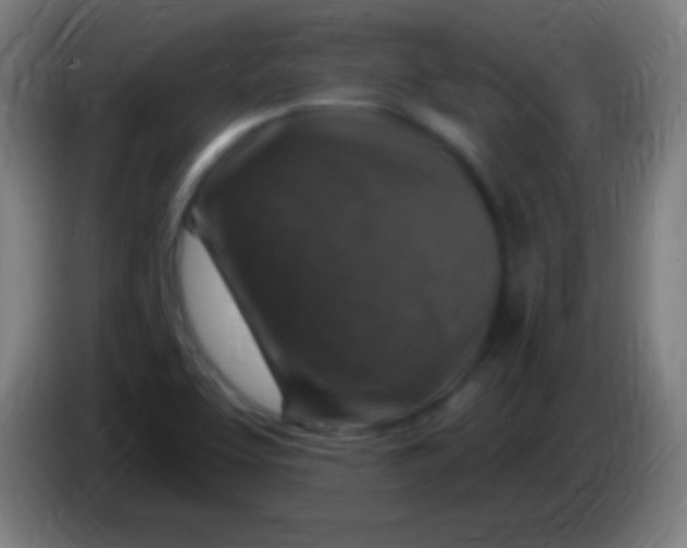 X0000085301463200703301949