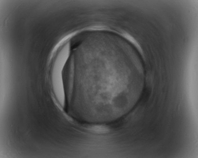 X0000085301464200703301949