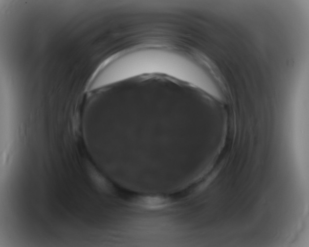 X0000085301465200703301949