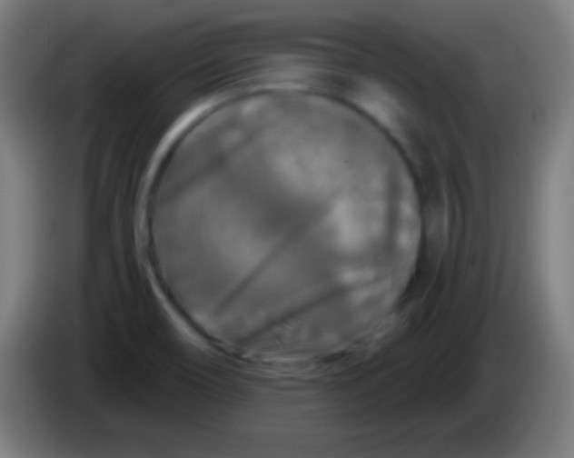 X0000085301466200703301949