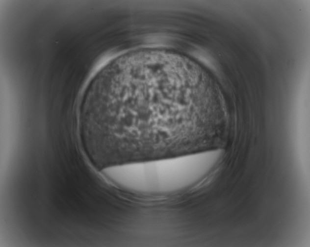 X0000085301467200703301949