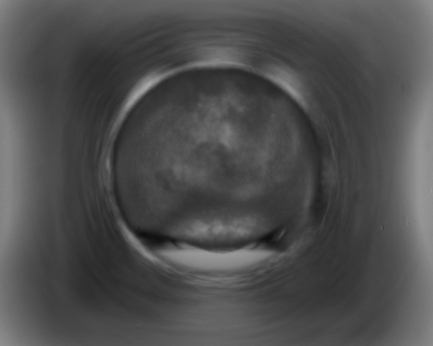 X0000085301468200703301949