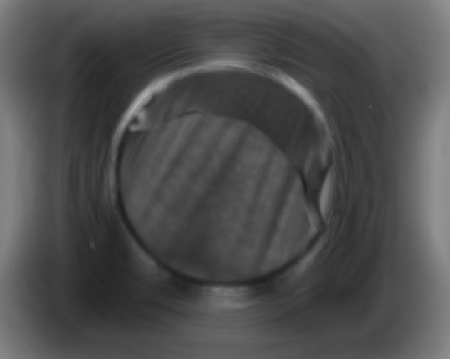 X0000085301469200703301949