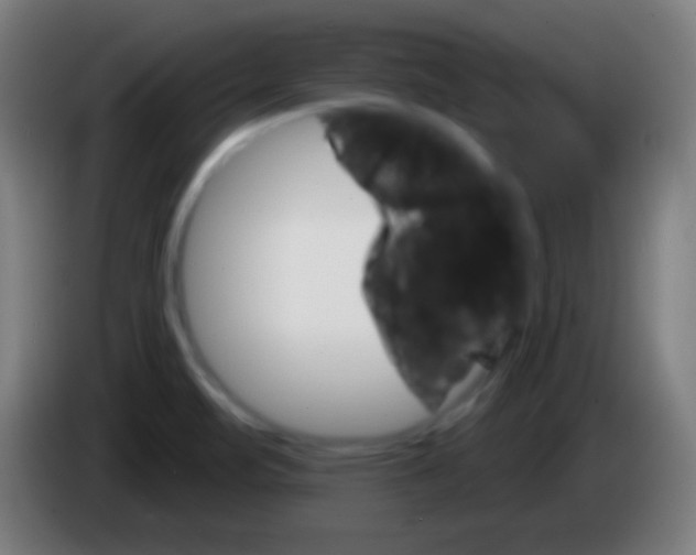 X0000085301471200703301949