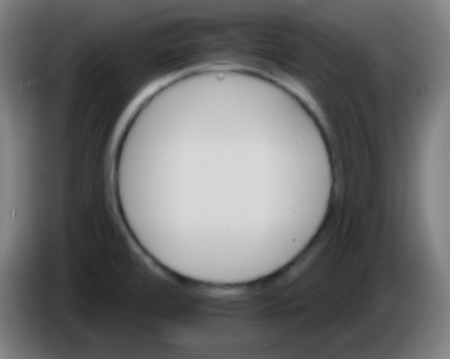 X0000085301472200703301949