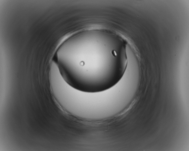 X0000085301473200703301949