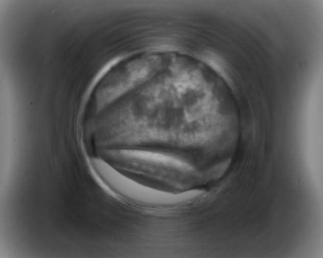 X0000085301476200703301949