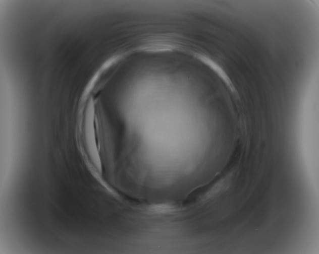 X0000085301477200703301949