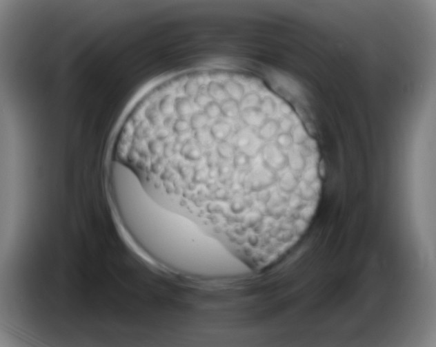 X0000085301479200703301949