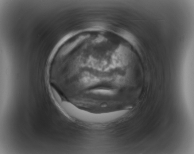 X0000085301480200703301949