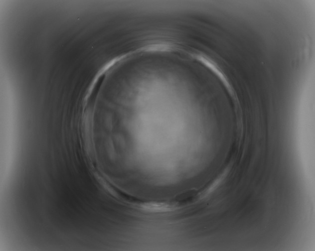 X0000085301481200703301949