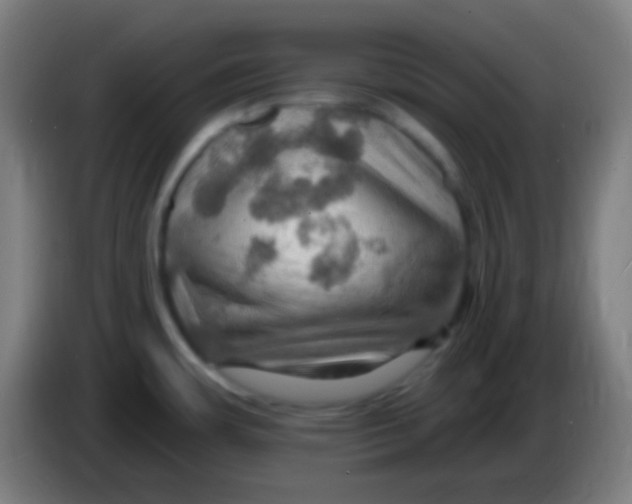 X0000085301483200703301949