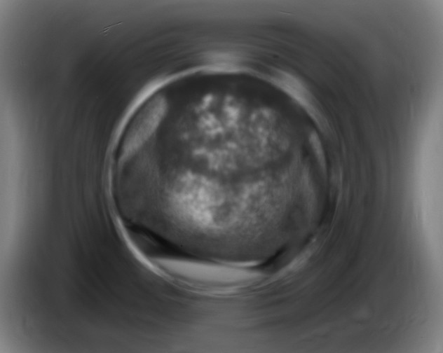 X0000085301484200703301949