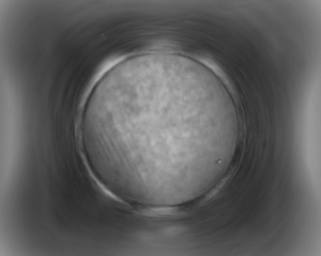 X0000085301486200703301949