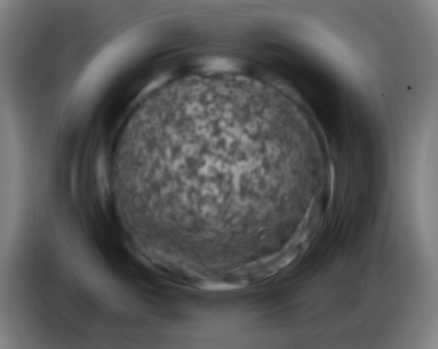 X0000085301487200703301949