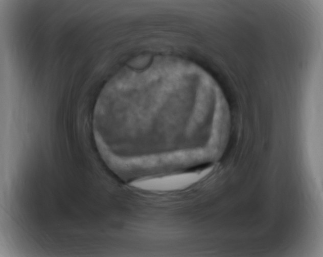 X0000085301489200703301948