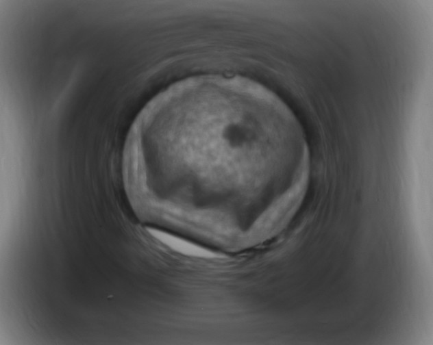 X0000085301490200703301948