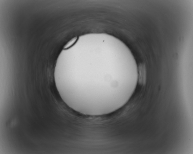 X0000085301491200703301948