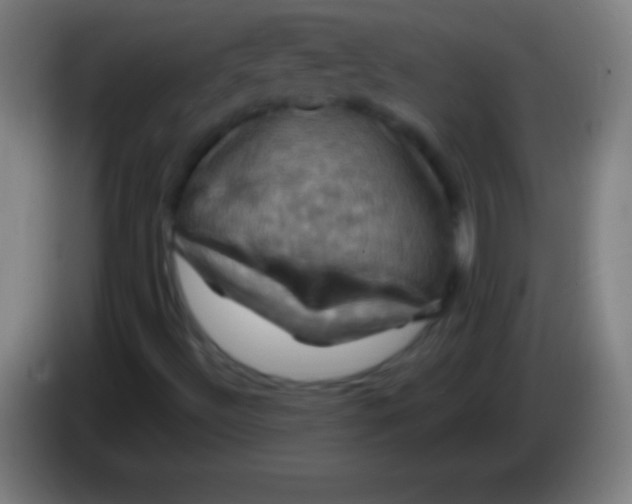 X0000085301492200703301948