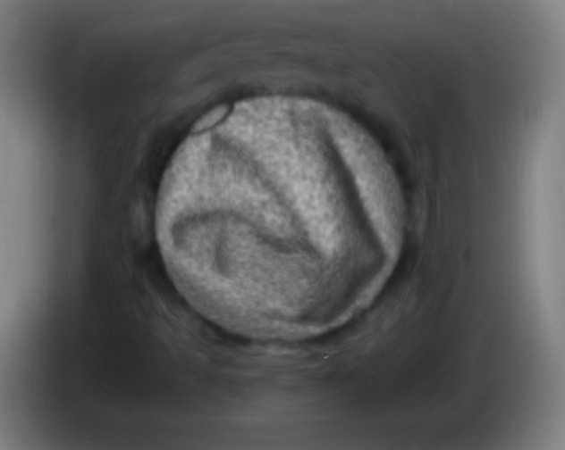 X0000085301493200703301948