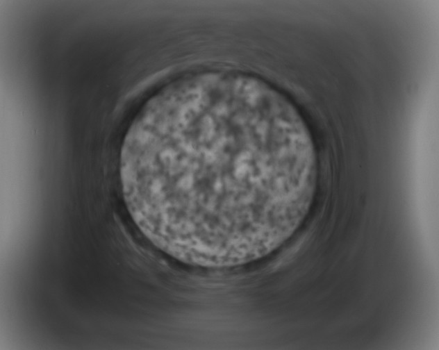 X0000085301494200703301948