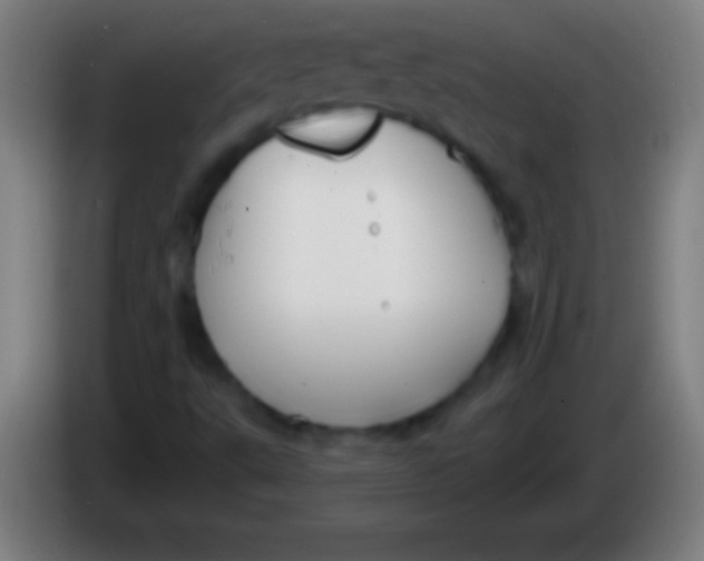 X0000085301495200703301948