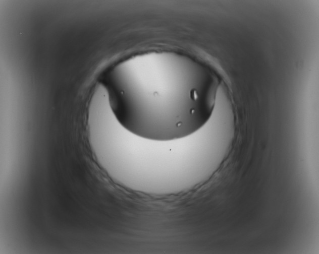 X0000085301496200703301948