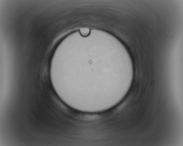 X0000085301498200703301948